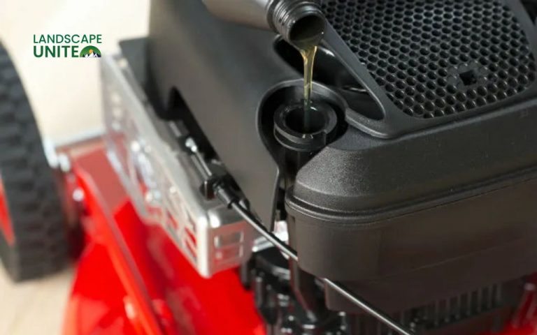 Can you use car oil in your lawn mower? Expert guide