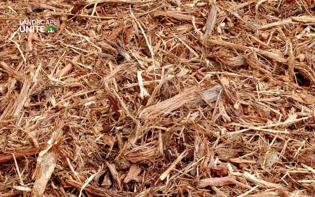 Planting bark made simple: A friendly guide to better soil and beautiful beds 4 Cedar bark mulch
