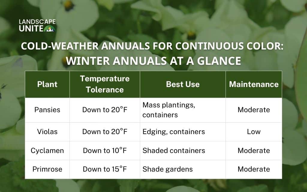 Cold-weather annuals for continuous color: Winter annuals at a glance