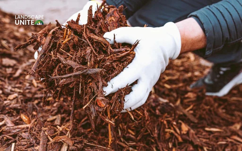 Planting bark made simple: A friendly guide to better soil and beautiful beds 7 Composted bark mulch