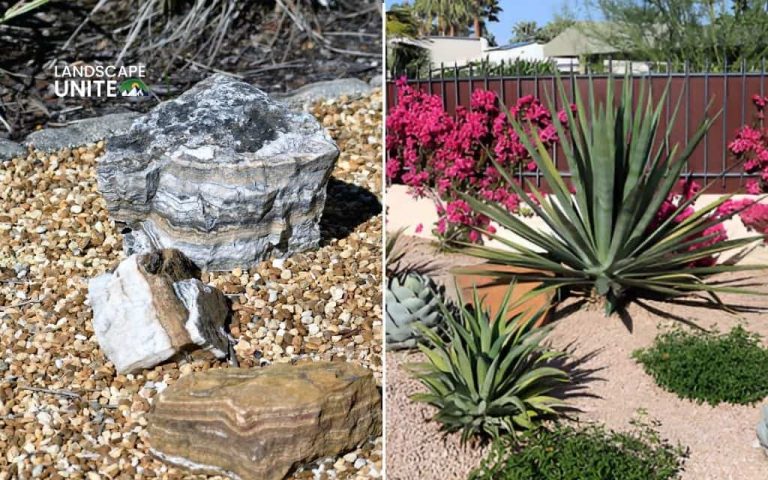 Confused about zeroscape vs xeriscape? Here's what they actually mean
