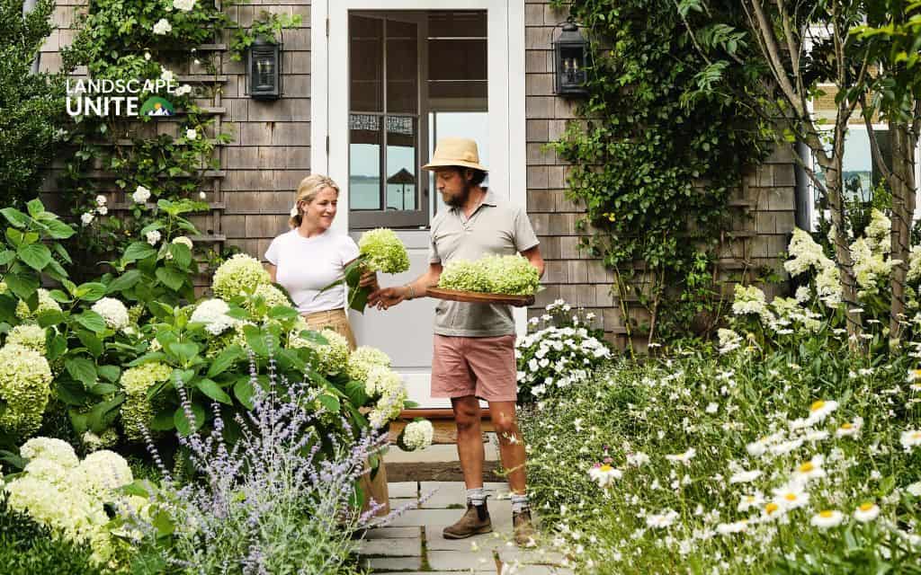 Landscaping with hydrangeas made easy: 14 proven ideas that actually work 7 Create a cottage garden look
