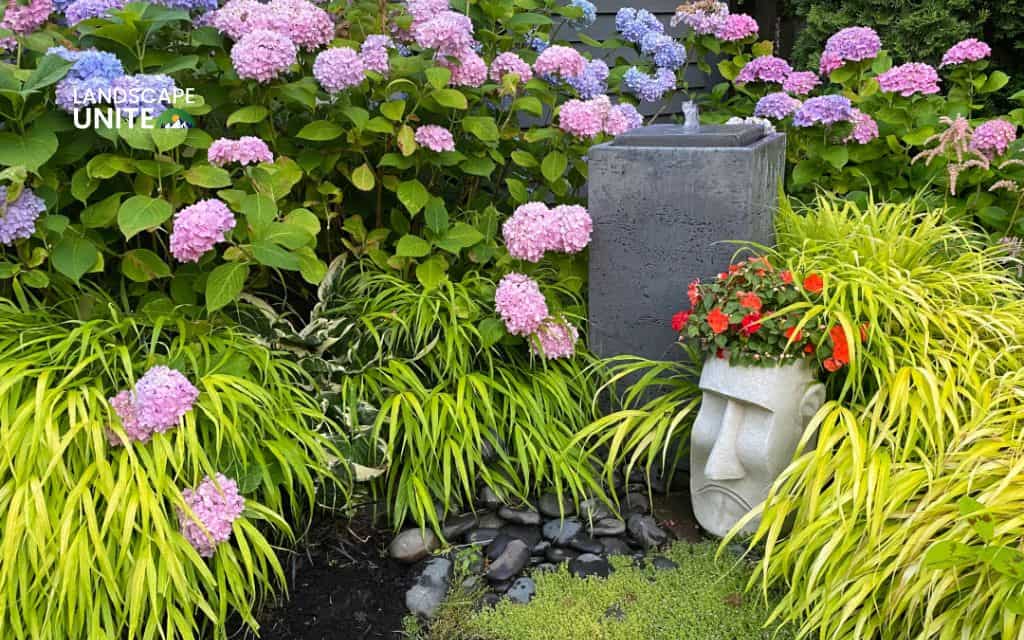 Landscaping with hydrangeas made easy: 14 proven ideas that actually work 16 Create a hydrangea and ornamental grass border