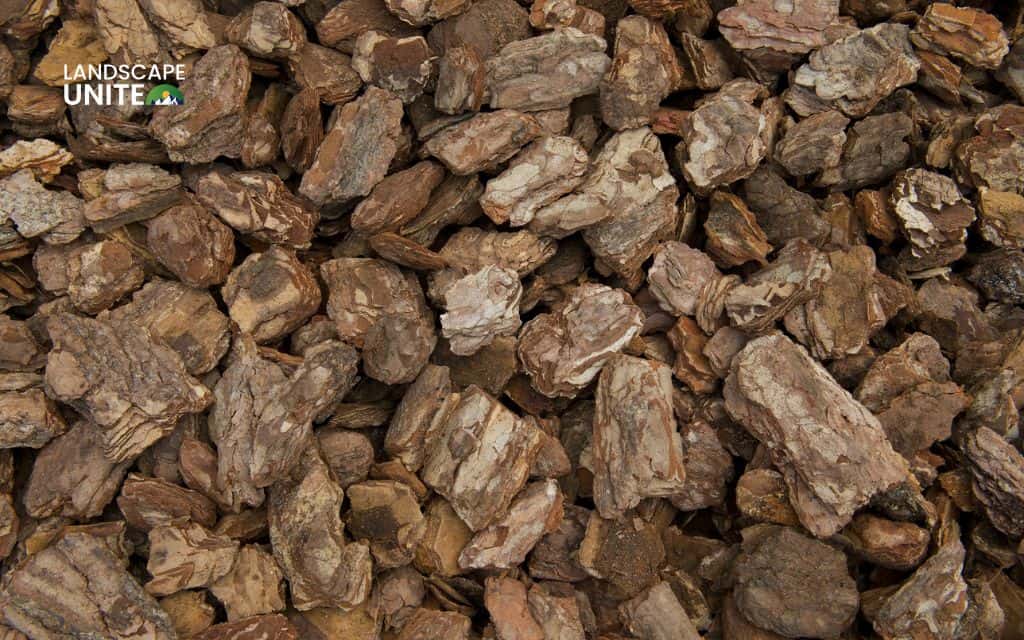 Planting bark made simple: A friendly guide to better soil and beautiful beds 6 Decorative bark nuggets