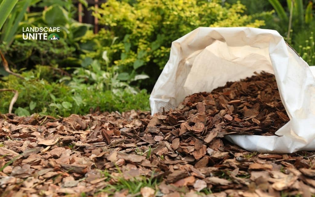 Are wood chips as mulch right for your garden? Your complete beginner's guide 4 Disadvantages of wood chips