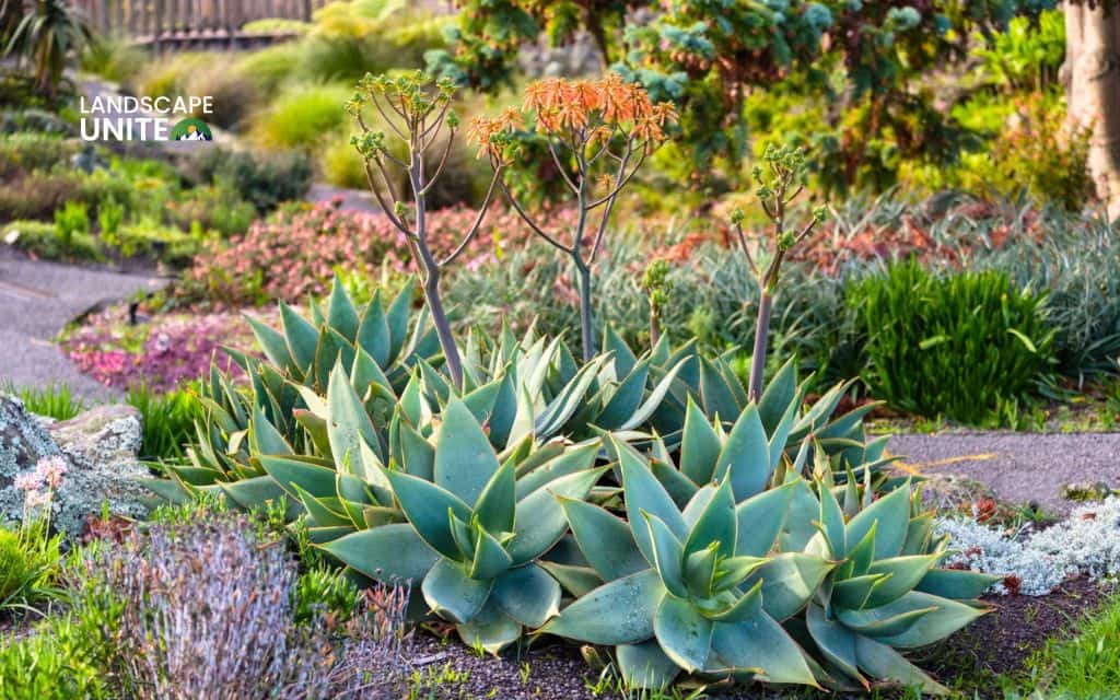 17 Stunning flower beds designs that transform any yard into a garden paradise 6 Drought-tolerant xeriscape bed