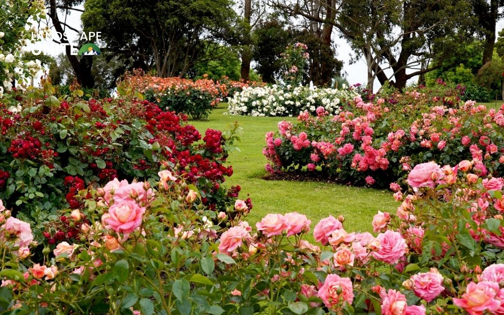 How do you make a flower garden: Beginner's Guide for Stunning garden