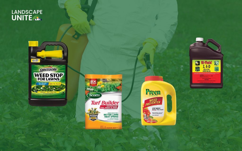 Explore 8 proven methods to kill weeds in flower beds naturally 3 How to kill weeds in flower beds - Method 3: Post-emergent herbicides (kill existing weeds fast)