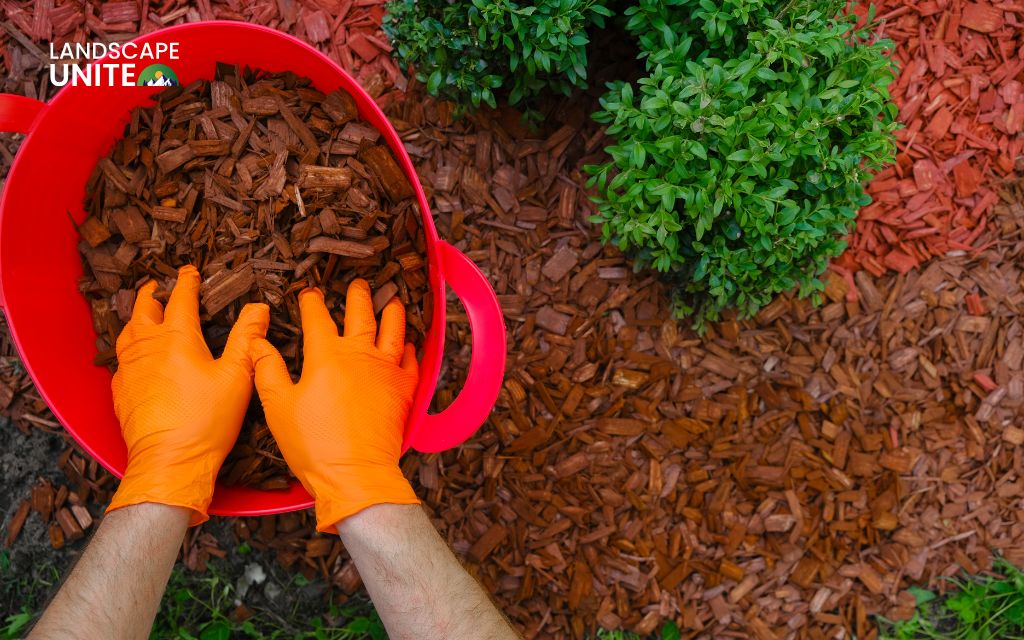 Explore 8 proven methods to kill weeds in flower beds naturally 5 How to kill weeds in flower beds - Method 5: Mulching for weed suppression (prevention powerhouse)