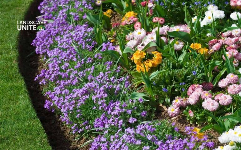 Learn easy flower beds for beginners with complete guide from expert