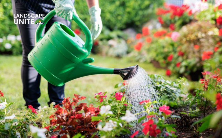 Master the art of watering flowers: your complete guide