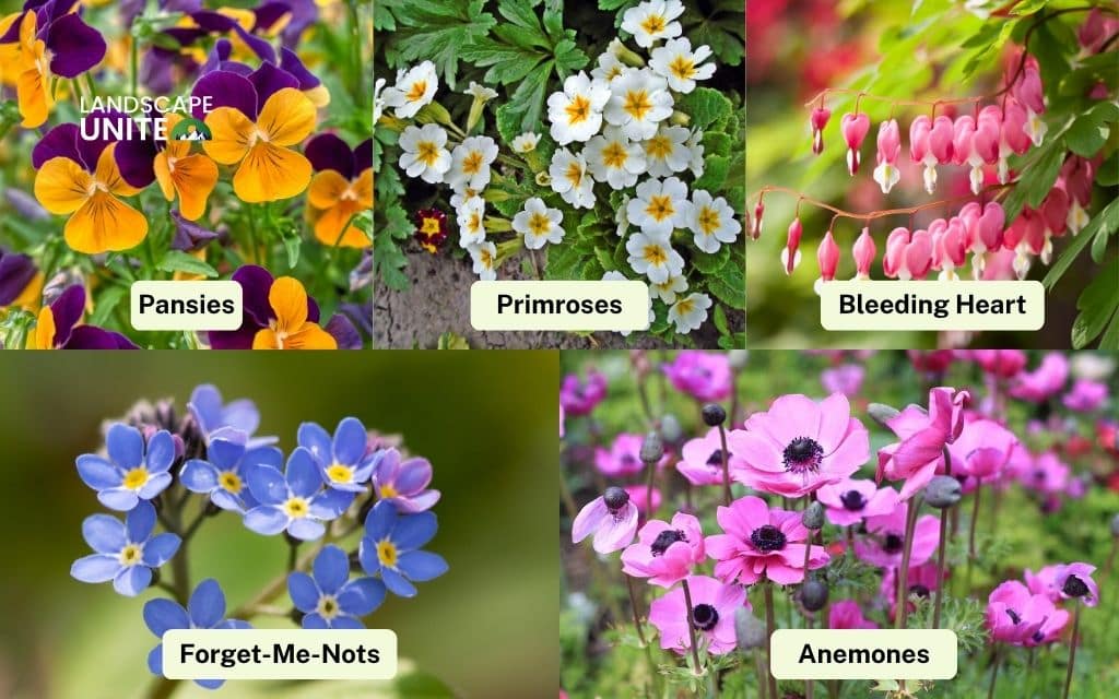 Mid-spring favorites