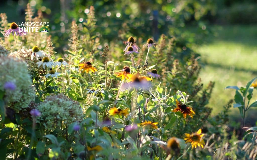 17 Stunning flower beds designs that transform any yard into a garden paradise 13 Native wildflower bed