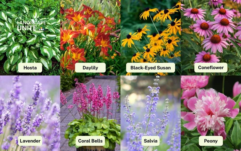 25 best plants for front of house that boost curb appeal 3 Perennials for front of house flower beds