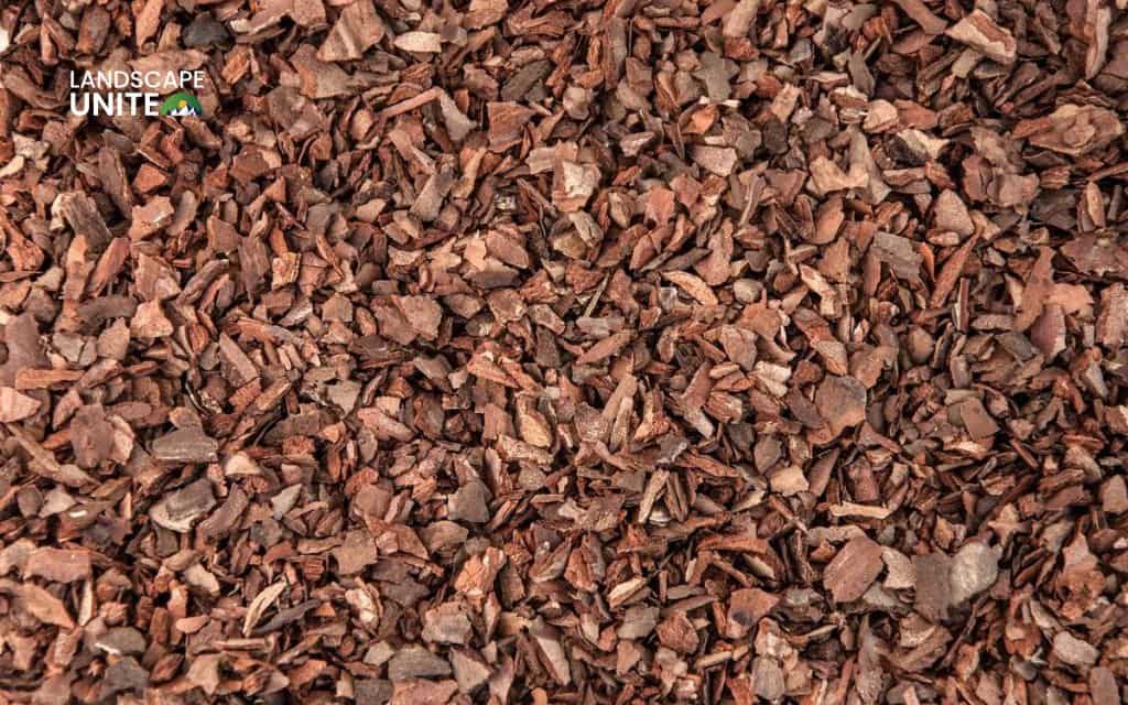Planting bark made simple: A friendly guide to better soil and beautiful beds 3 Pine bark mulch