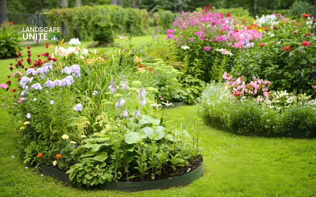 Planning your daylily flower beds