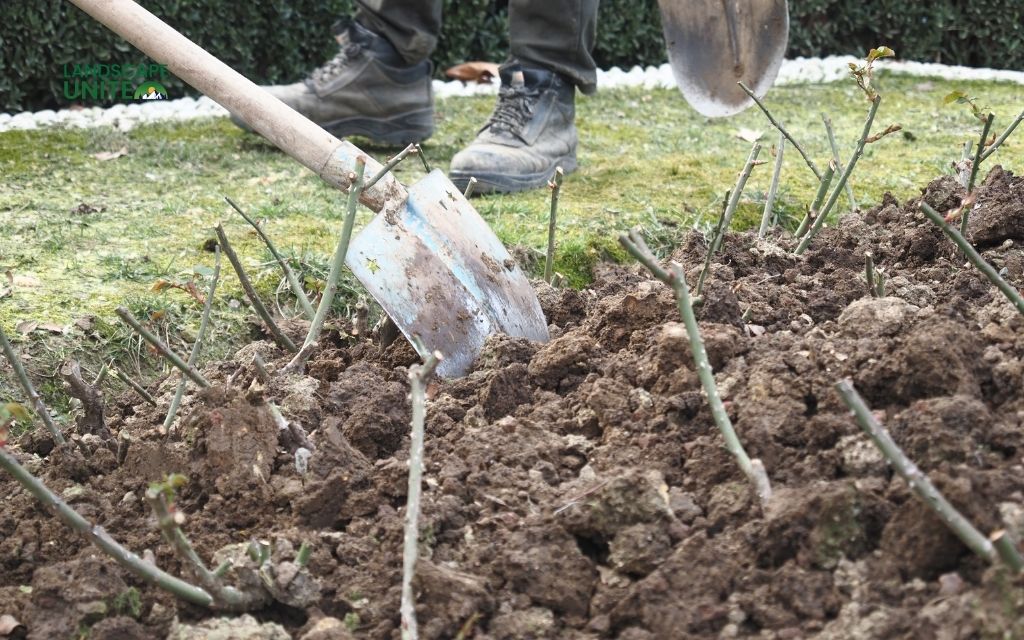 How do you make a flower garden: Beginner's Guide for Stunning garden 1 Planning your flower garden layout for stunning flower garden