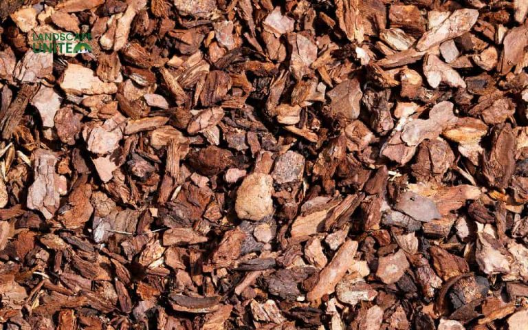 Planting bark made simple: A friendly guide to better soil and beautiful beds