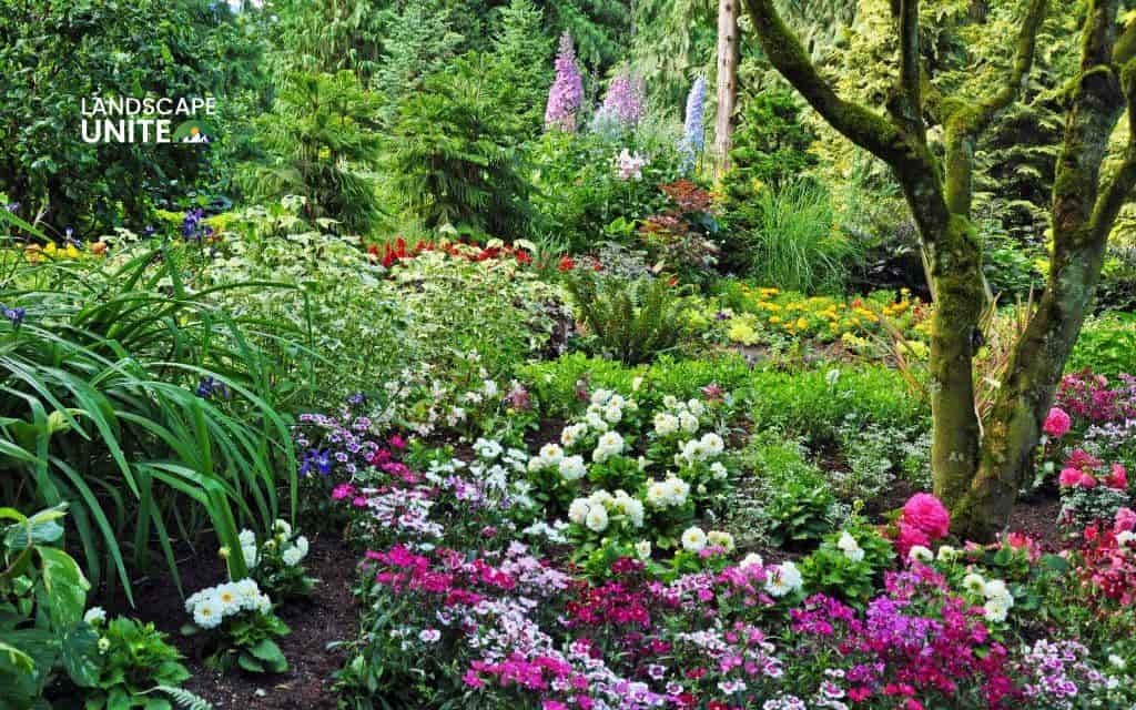 17 Stunning flower beds designs that transform any yard into a garden paradise 7 Shade-loving woodland bed