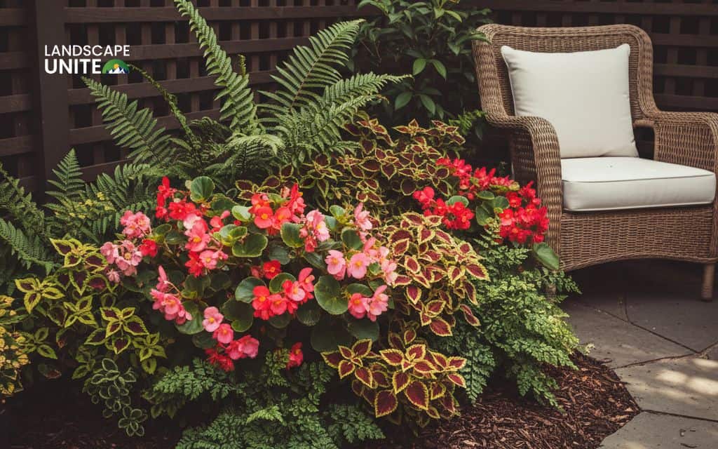 Shady patio corner bed