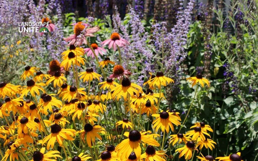 Spring flower bed design ideas