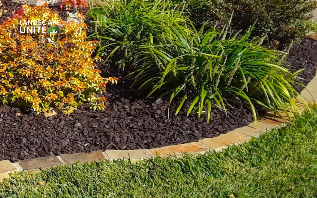 The pros of using rubber mulch in flower beds
