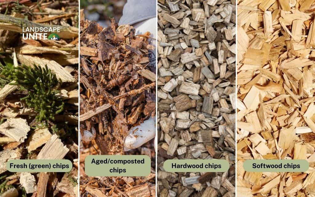 Are wood chips as mulch right for your garden? Your complete beginner's guide 2 Types of wood chips and mulch options