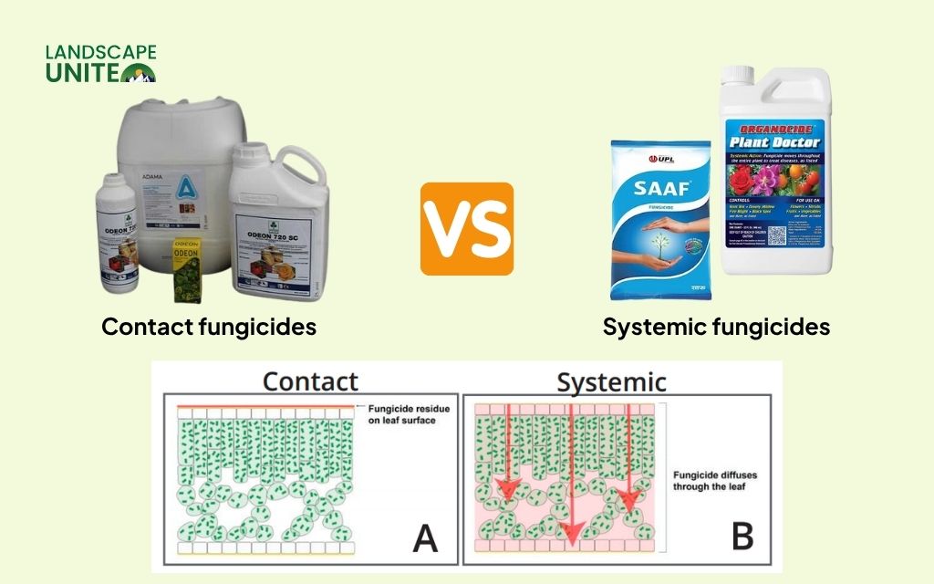 Explore the best fungicides for plants with complete guide 1 Understanding different types of fungicides for plants