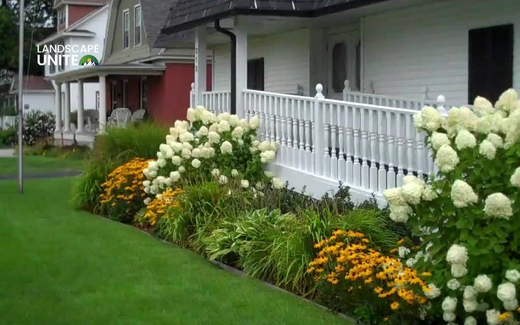 Landscaping with hydrangeas made easy: 14 proven ideas that actually work 8 Use hydrangeas as a focal point