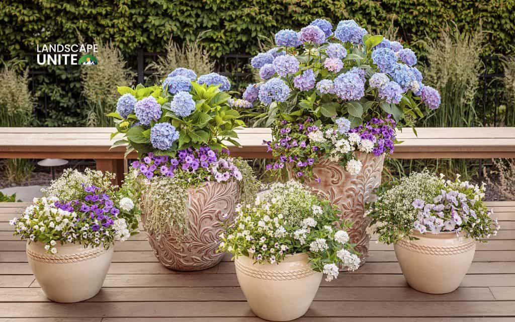 Landscaping with hydrangeas made easy: 14 proven ideas that actually work 15 Use potted hydrangeas for patios and decks