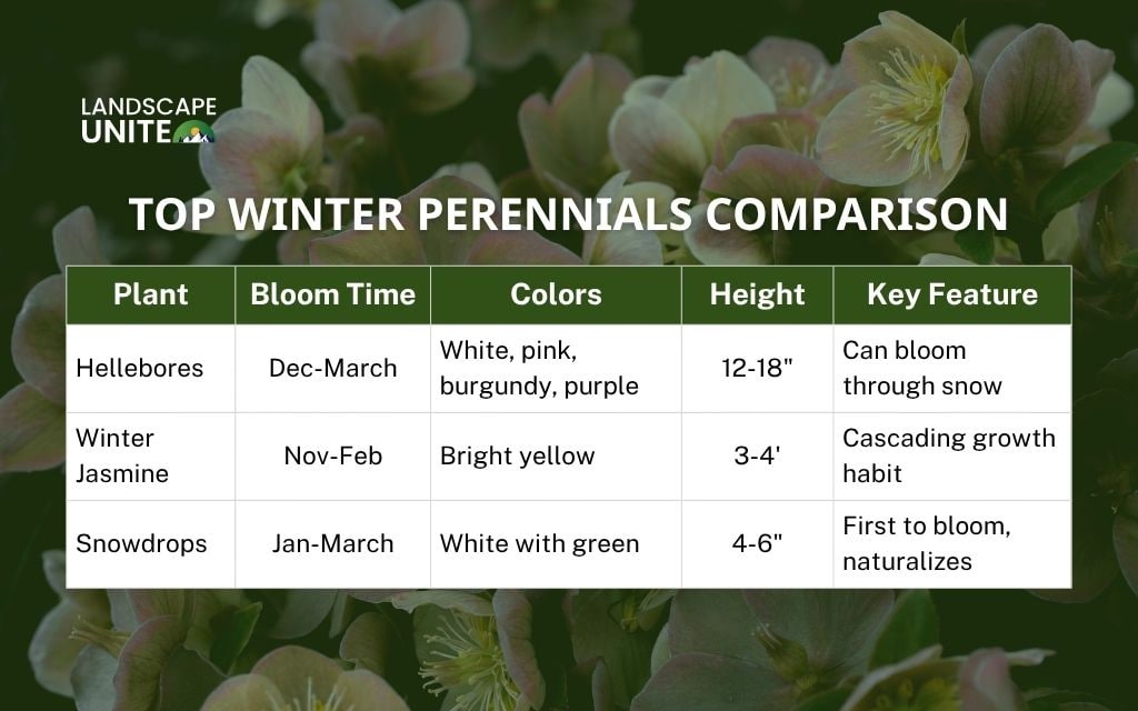 Winter flower beds: Top winter perennials comparison