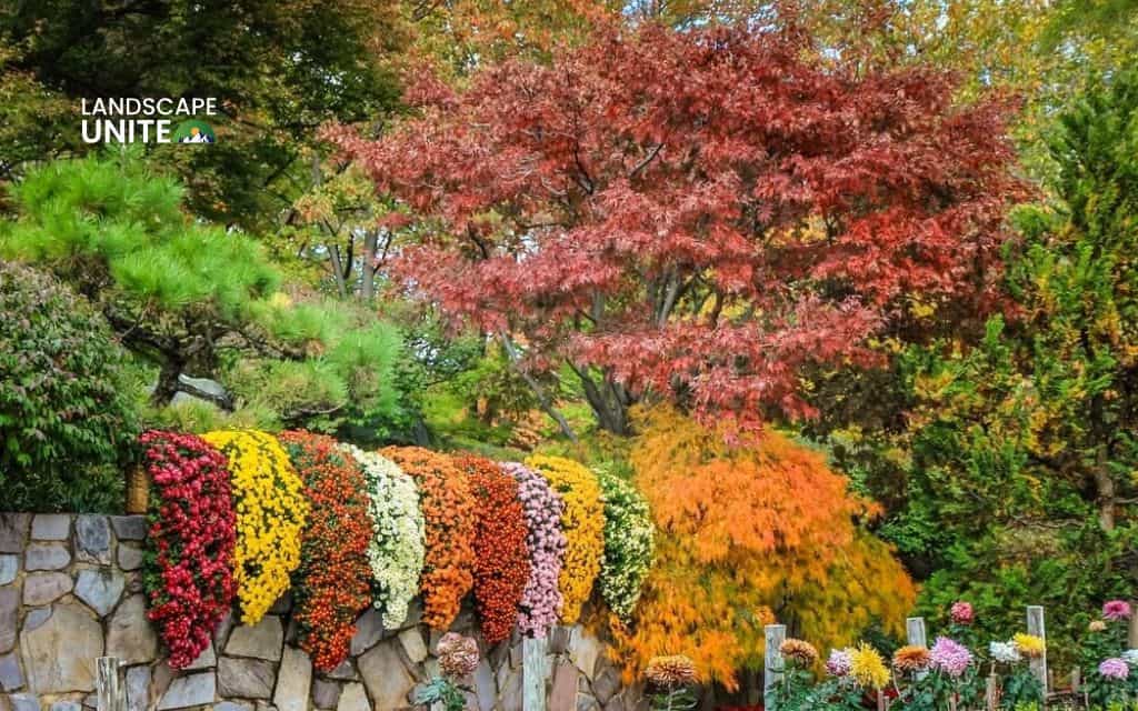 Flower bed on slope made easy: 15 low-maintenance ideas for hillside gardens 8 Cascading plants over a wall