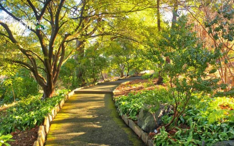 Flower bed on slope made easy: 15 low-maintenance ideas for hillside gardens