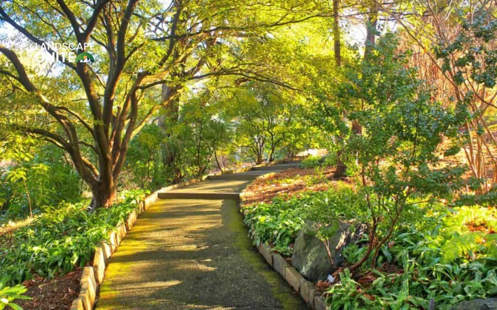 Flower bed on slope made easy: 15 low-maintenance ideas for hillside gardens
