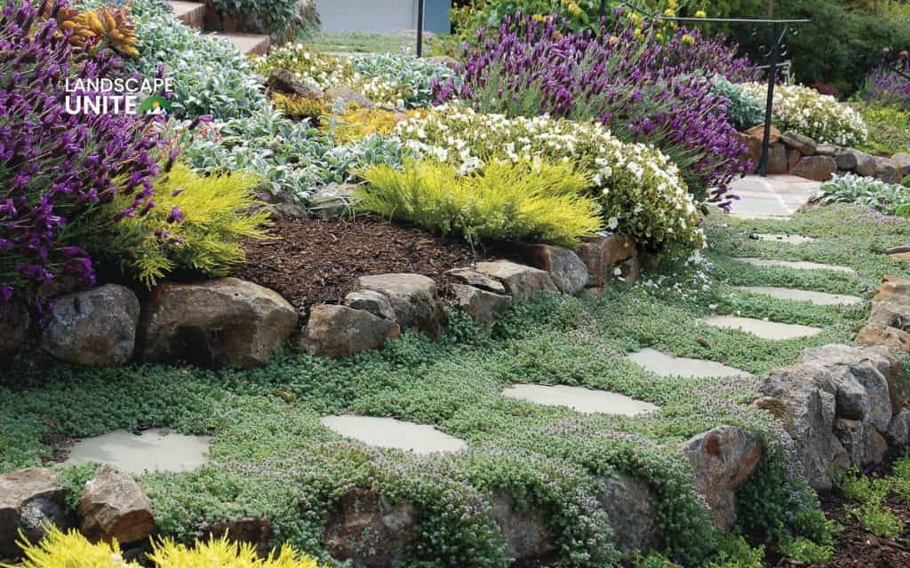 Flower bed on slope made easy: 15 low-maintenance ideas for hillside gardens 4 Ground cover paradise