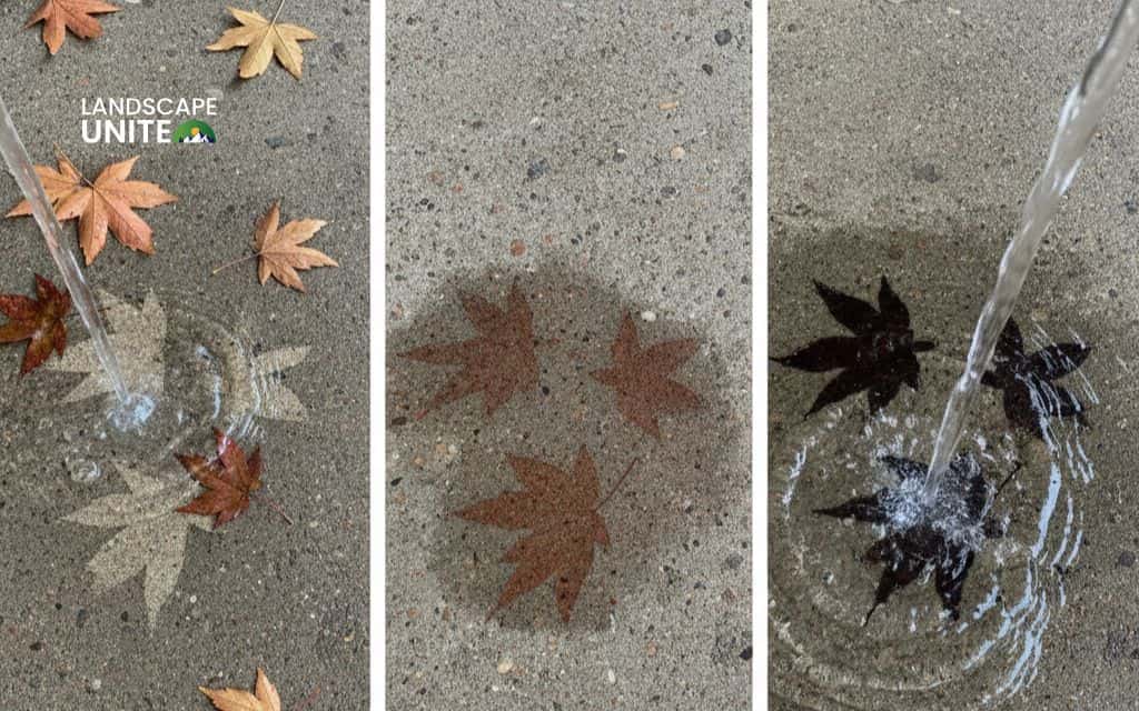 How do you remove leaf stains from concrete? 5 methods that work 1 Identify the stain type and severity