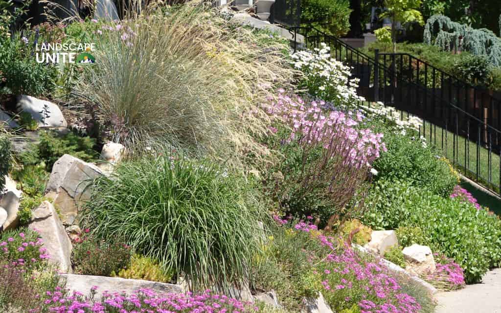 Flower bed on slope made easy: 15 low-maintenance ideas for hillside gardens 12 Mixed shrub and perennial design