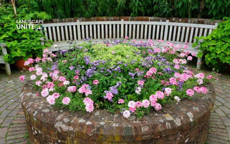 Raised rock flower beds: 14 ideas for low-maintenance beauty