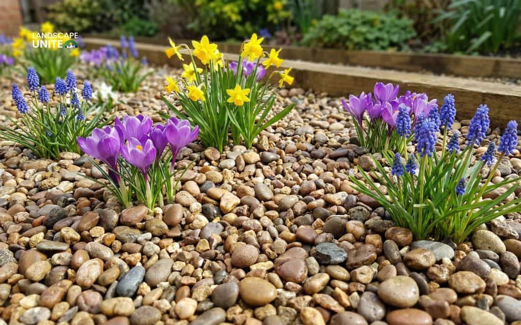 15 gorgeous flower beds with rocks that practically transform your landscape 10 Rock mulch with spring flowers