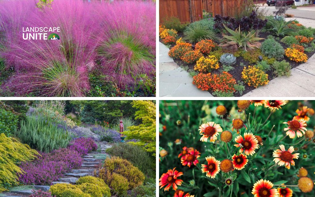 Transform your garden best from flower beds with perennials 3 Soil prep and maintenance for perennial success