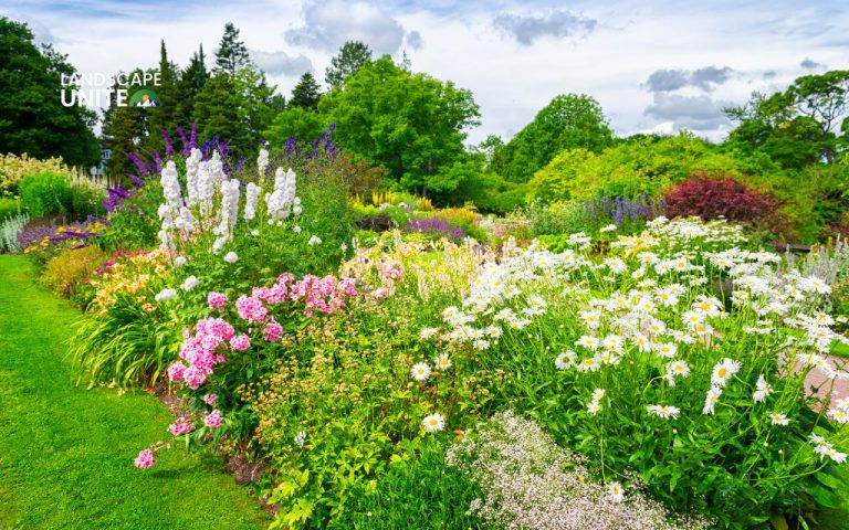Transform Your Garden: Best Perennials for Stunning Flower Beds