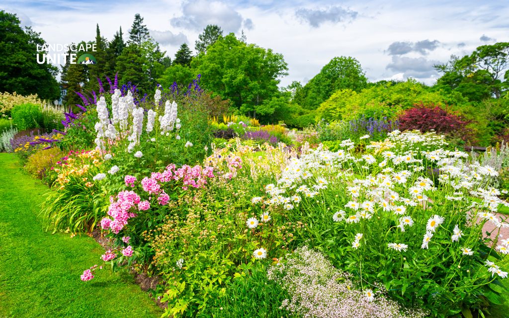 Transform Your Garden: Best Perennials for Stunning Flower Beds