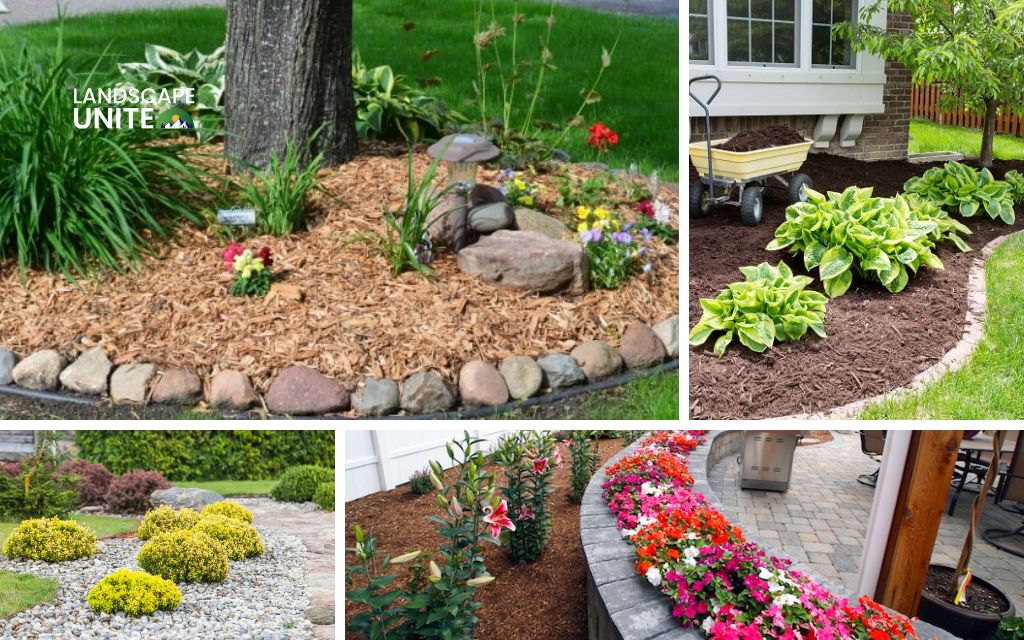 Home 6 Low-maintenance flower beds: Top 12 simple solutions for stunning yards