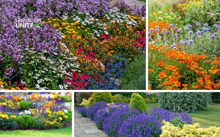 Blog 2 Transform your yard with 10 vibrant sun flower bed ideas