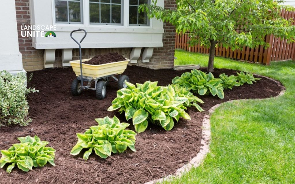 Why choose low-maintenance flower beds?