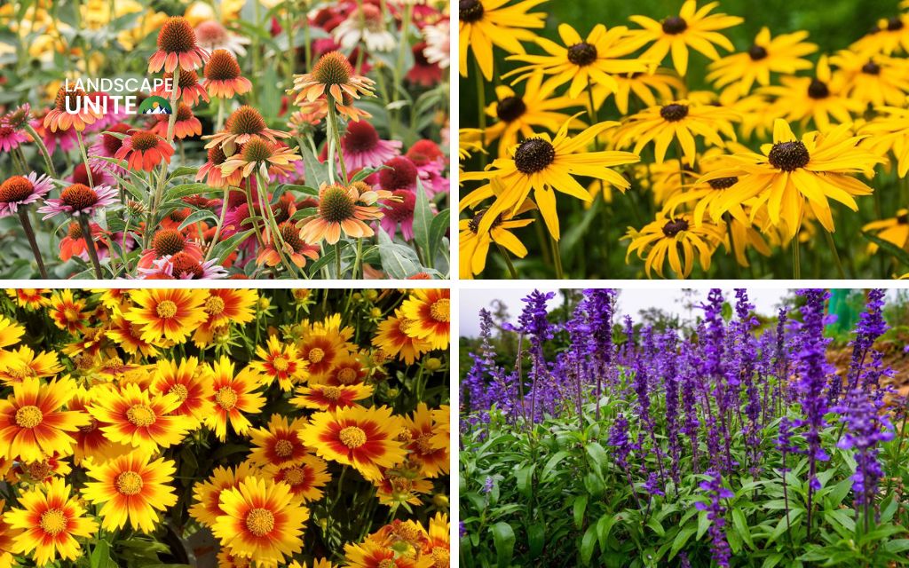 Transform your garden best from flower beds with perennials 1 Why perennials are ideal for U.S. flower beds