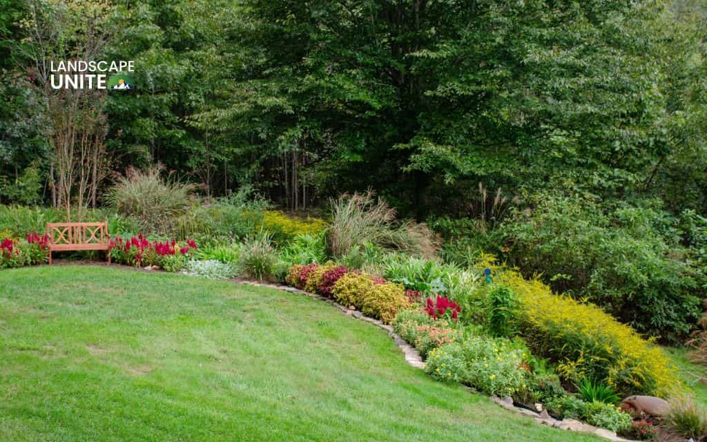 Flower bed on slope made easy: 15 low-maintenance ideas for hillside gardens 5 Wildflower meadow slope