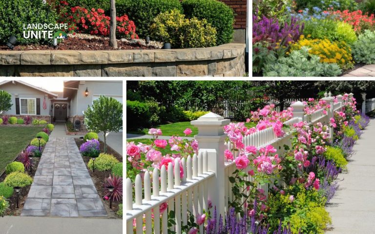 Explore these 7 Full sun flower bed ideas you’ll actually use