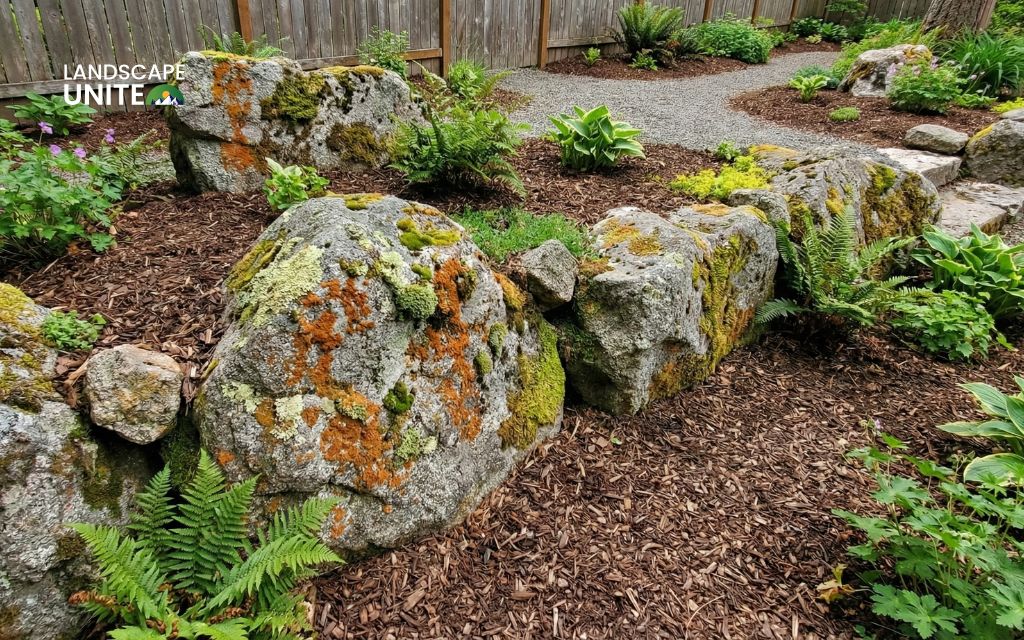 Massive boulders featuring rare lichen growth edge your mulch beds for authentic rustic charm