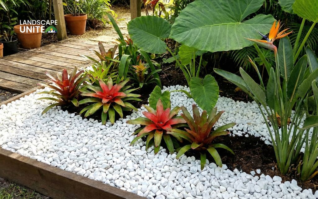 White marble chips with tropical plants